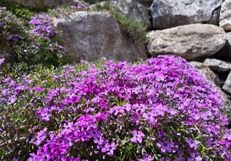 Ferienwohnung Alpenglück³ in Oy-Mittelberg